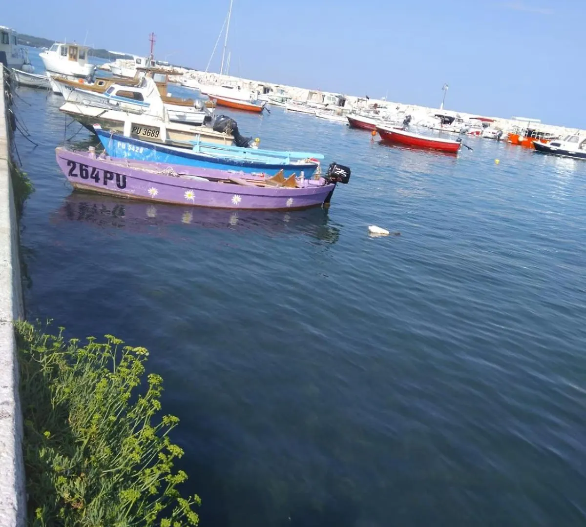 Hotel Villa Vera 2 Fažana Kroatien